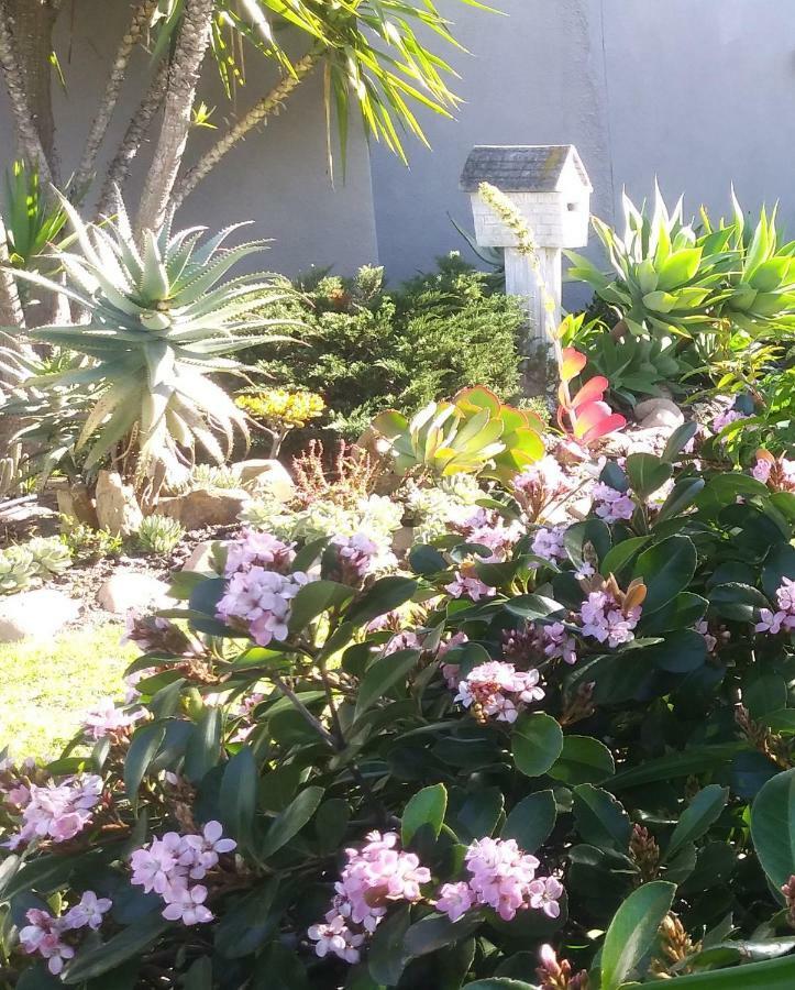 19 On Robyn Apartment Durbanville Ngoại thất bức ảnh